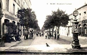 2019- Blida - Boulevard Trumelet